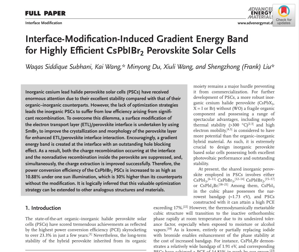 中科院大連化物所劉生忠團(tuán)隊