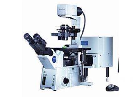 激光共聚焦顯微鏡（CLSM）