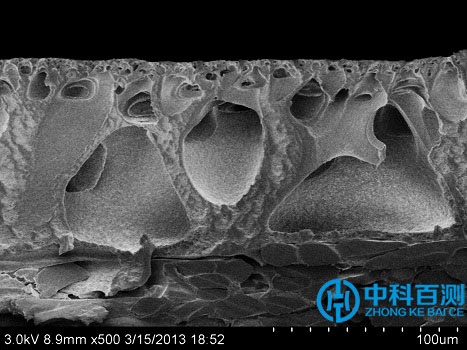 過濾膜截面孔結(jié)構(gòu)案例1.jpg