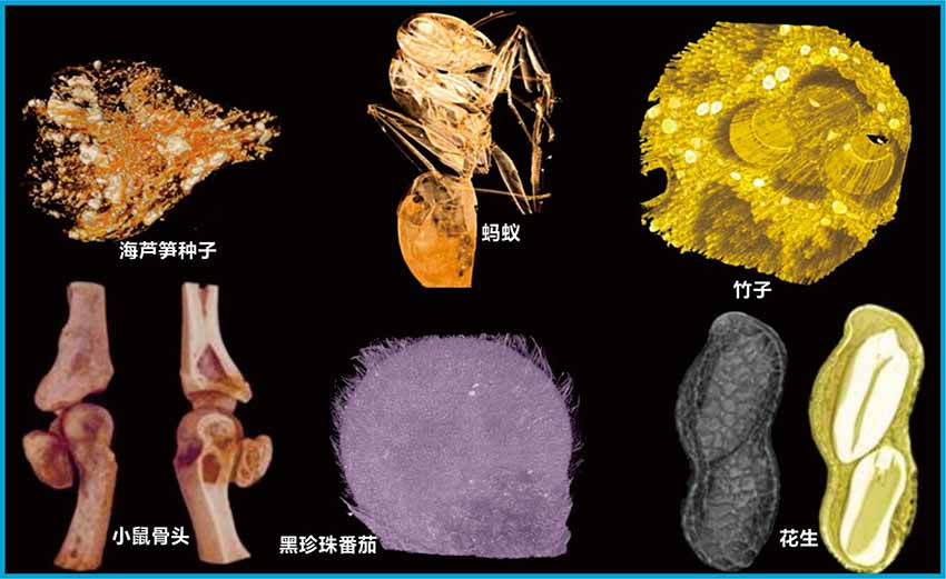 案例33.jpg 案例33.jpg