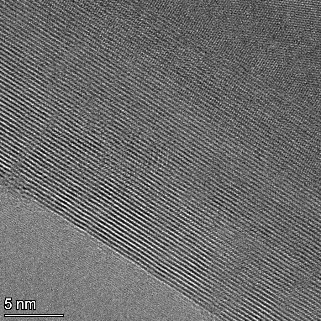 #6 Camera 1.1 Mx 1338.jpg