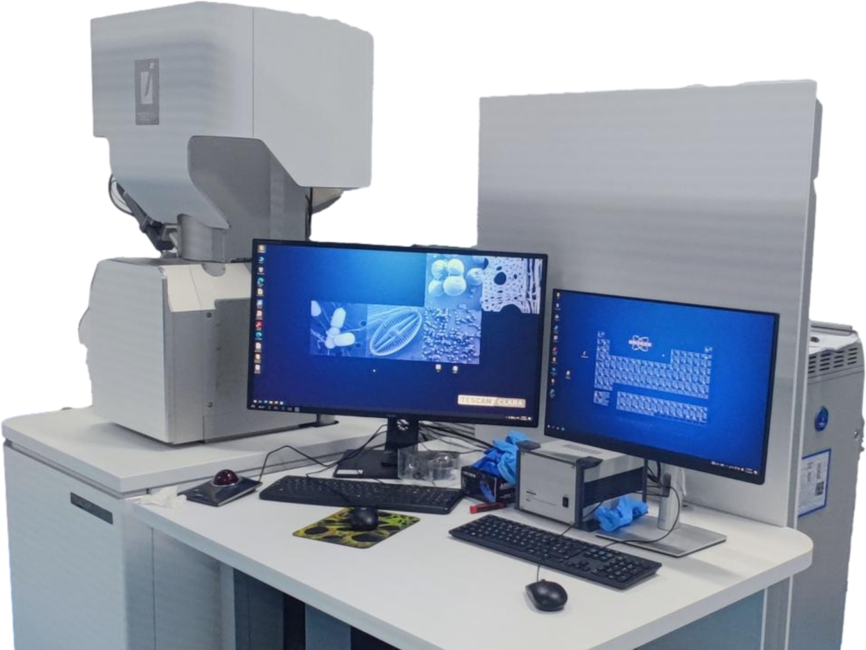 泰思肯.png 泰思肯.png